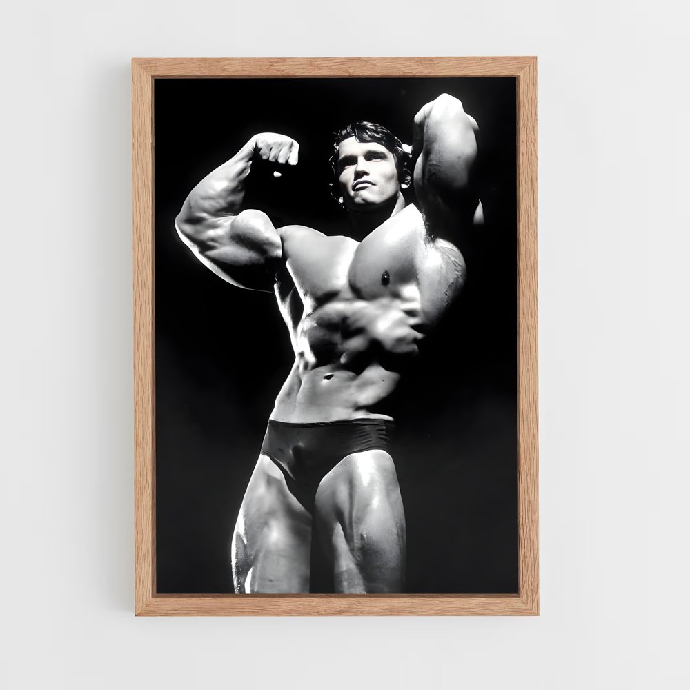 Poster Arnold classic – affiche Compétitions de gymnastique (vue 4)